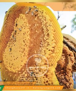 MẬT ONG RỪNG NGUYÊN BẦU MẬT