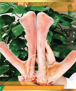 công dụng của nhung hươu tươi